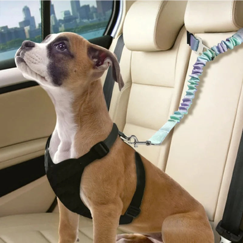 Dog Seat Belt,Small,Medium,and Large Dog Car Safety Buckle,Pet Safety Rope,Car Towing Belt, Anti Slip Rope,Dog Rope