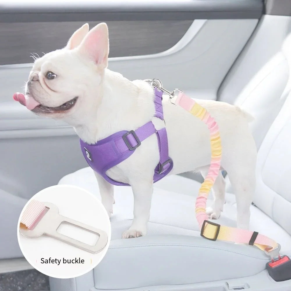 Dog Seat Belt,Small,Medium,and Large Dog Car Safety Buckle,Pet Safety Rope,Car Towing Belt, Anti Slip Rope,Dog Rope