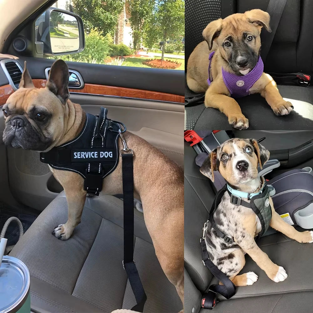 Dog Seatbelt, Adjustable Safety Dog Seat Car Harness Durable Dog Seatbelts for Cars - Dog Car Seat Belt for Dogs Dog seat Belts